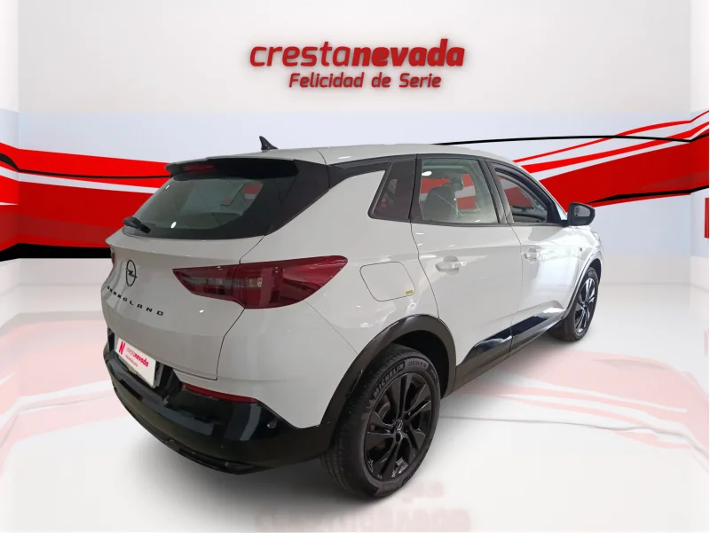 Imagen de Opel Grandland