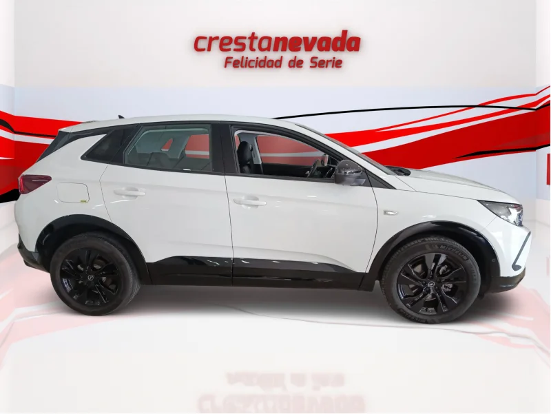 Imagen de Opel Grandland
