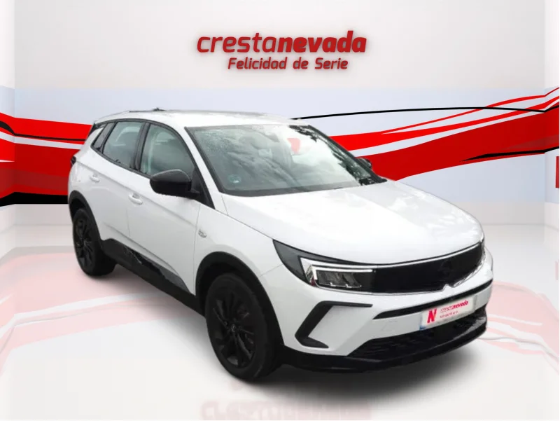 Imagen de Opel Grandland