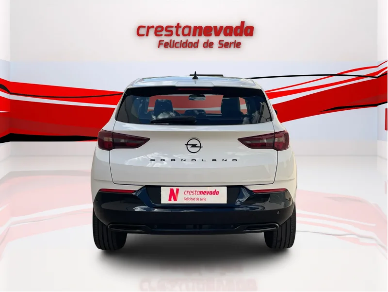 Imagen de Opel Grandland