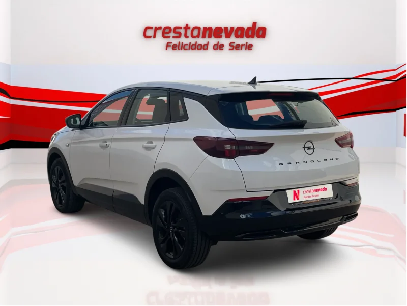 Imagen de Opel Grandland
