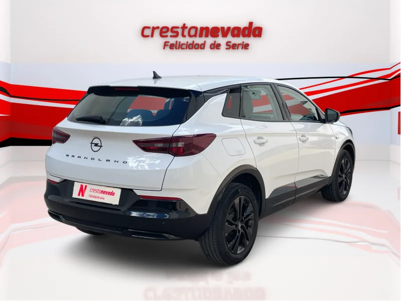 Imagen de Opel Grandland