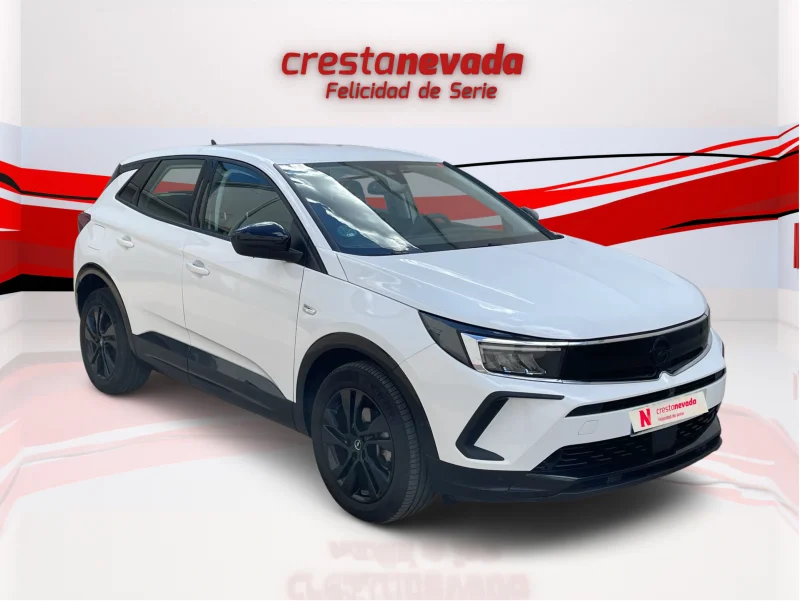 Imagen de Opel Grandland