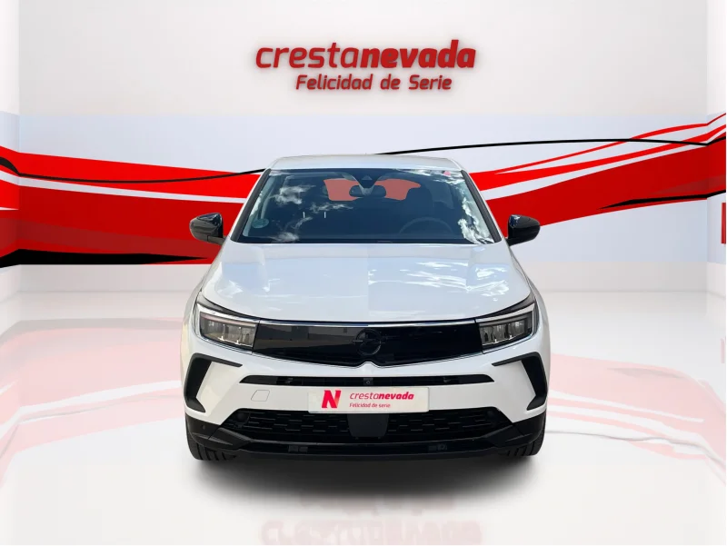 Imagen de Opel Grandland