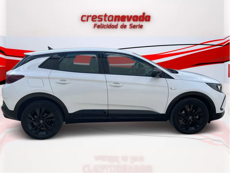 Imagen de Opel Grandland