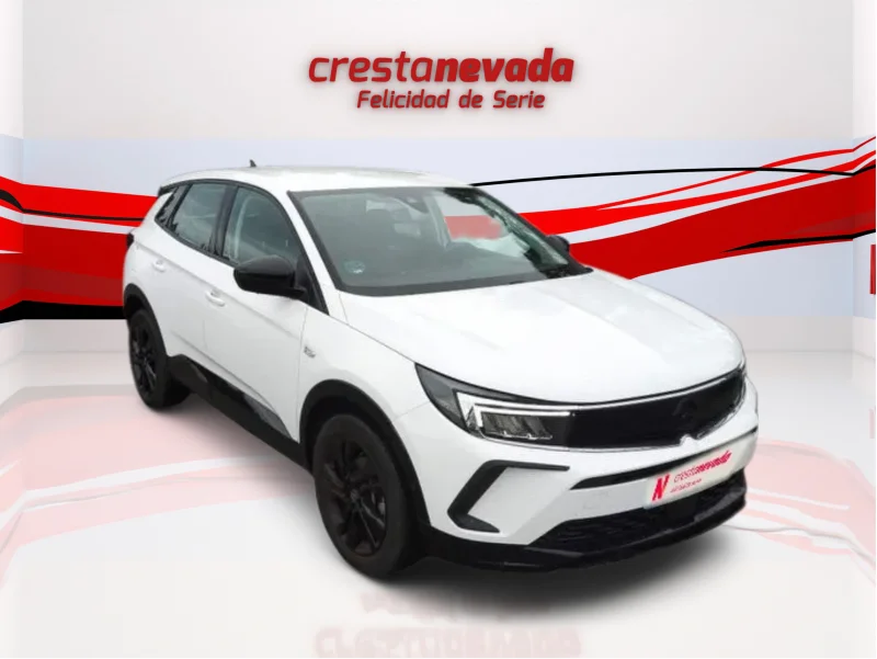 Imagen de Opel Grandland