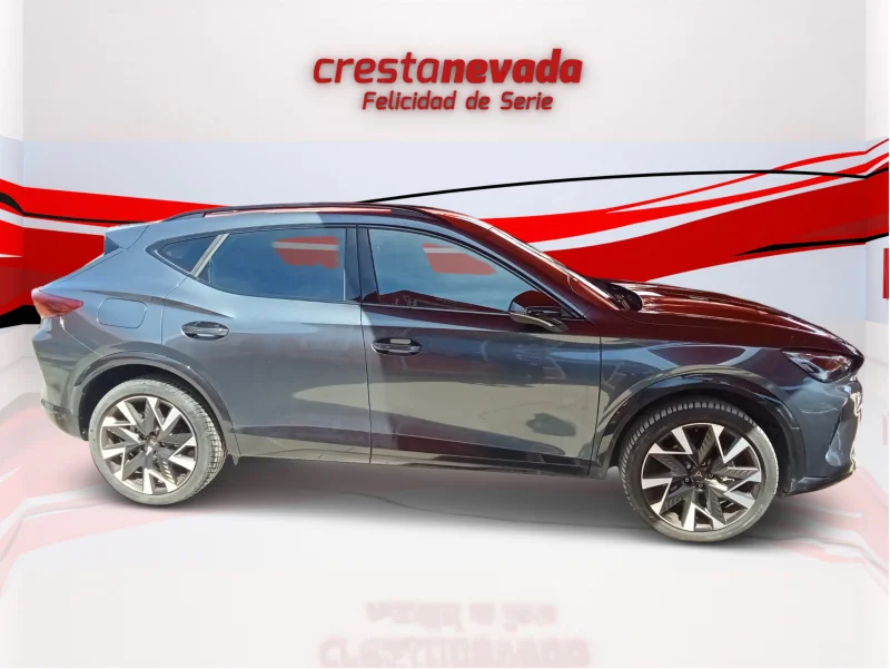 Imagen de cupra Formentor
