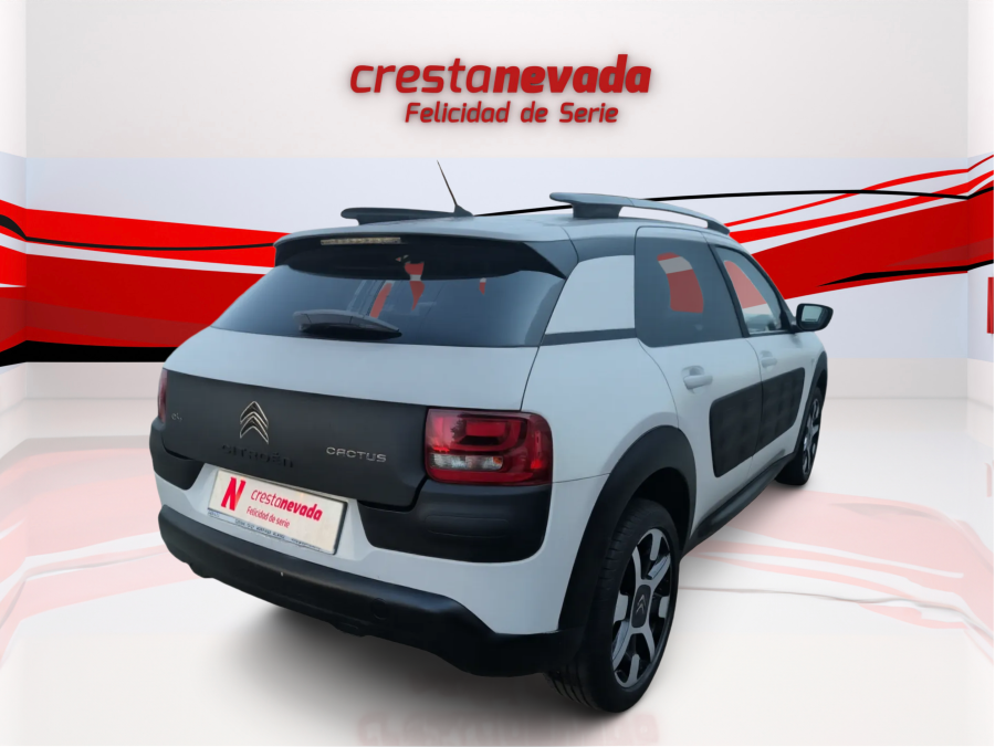Imagen de CITROEN C4 Cactus