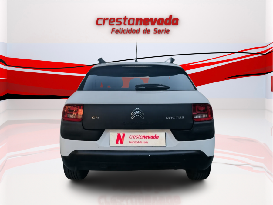 Imagen de CITROEN C4 Cactus