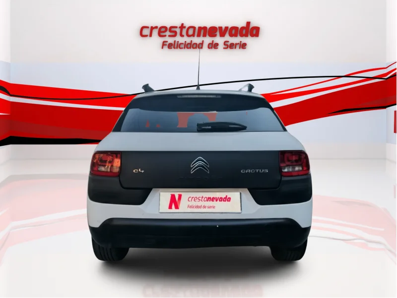 Imagen de CITROEN C4 Cactus