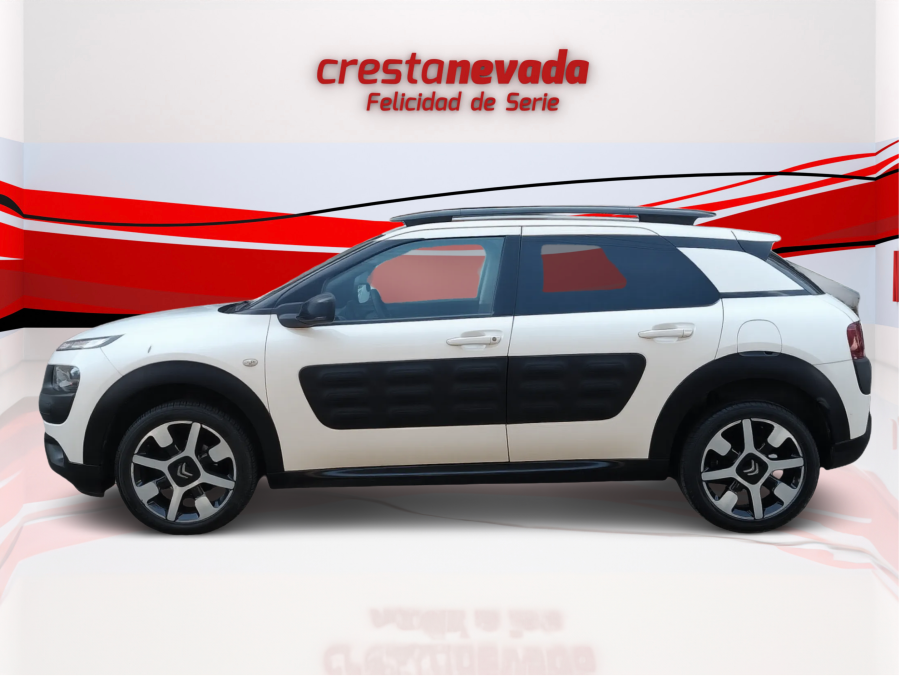 Imagen de CITROEN C4 Cactus