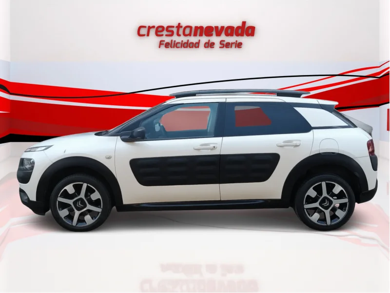 Imagen de CITROEN C4 Cactus