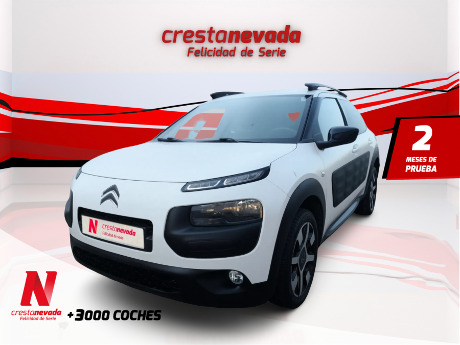 Imagen de CITROEN C4 Cactus