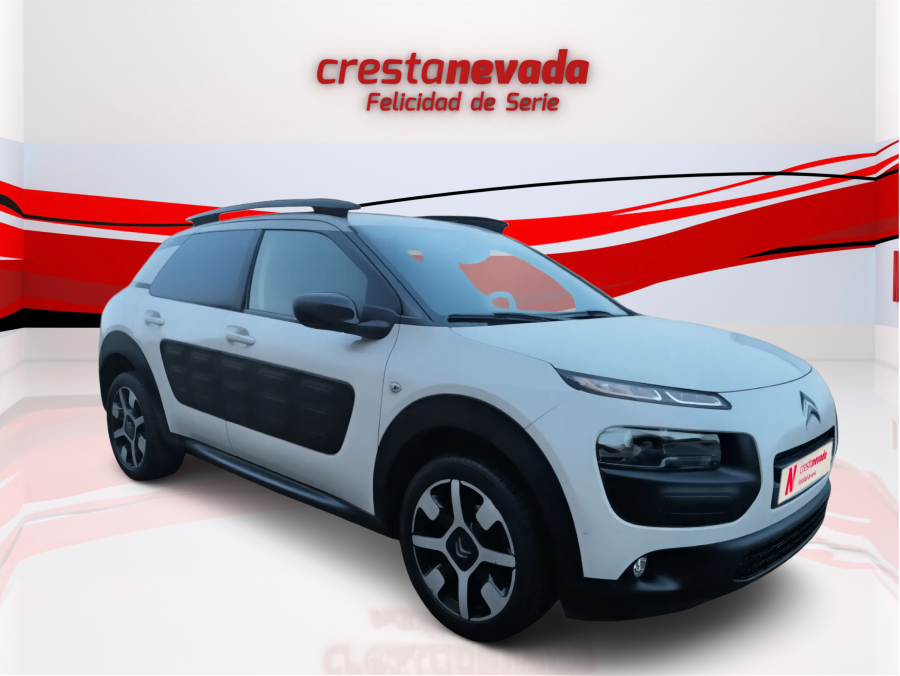 Imagen de CITROEN C4 Cactus
