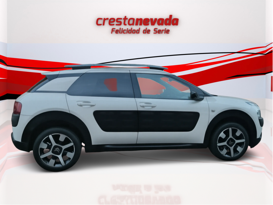 Imagen de CITROEN C4 Cactus