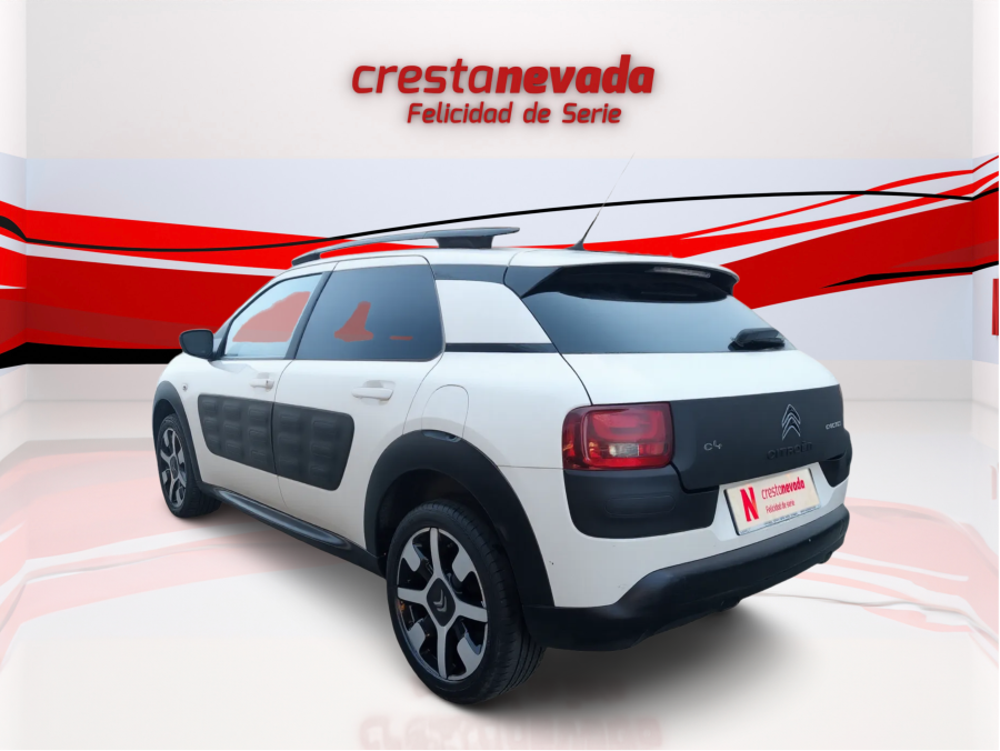 Imagen de CITROEN C4 Cactus