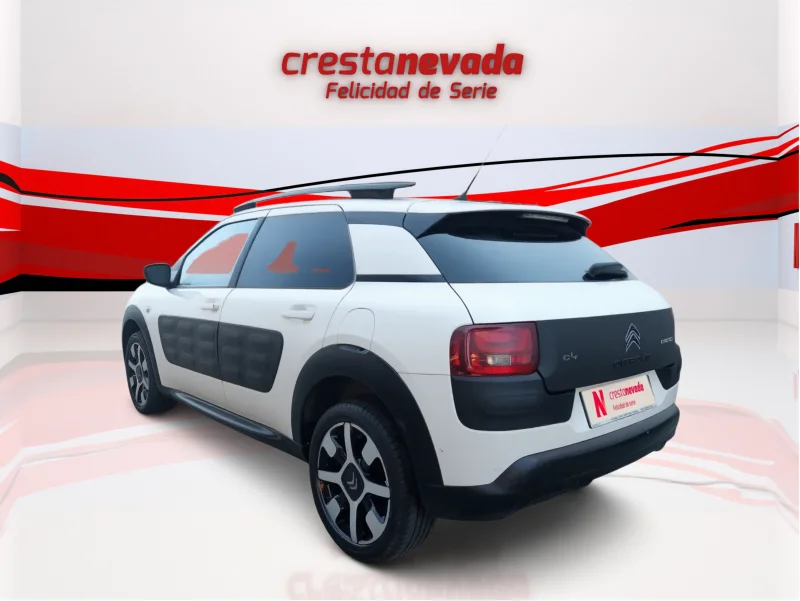 Imagen de CITROEN C4 Cactus