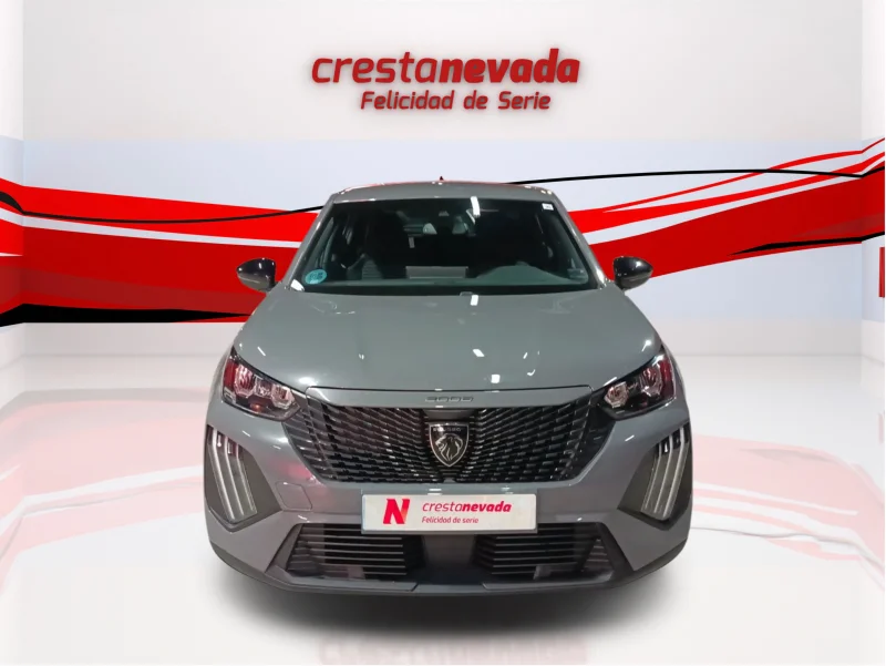 Imagen de Peugeot 2008