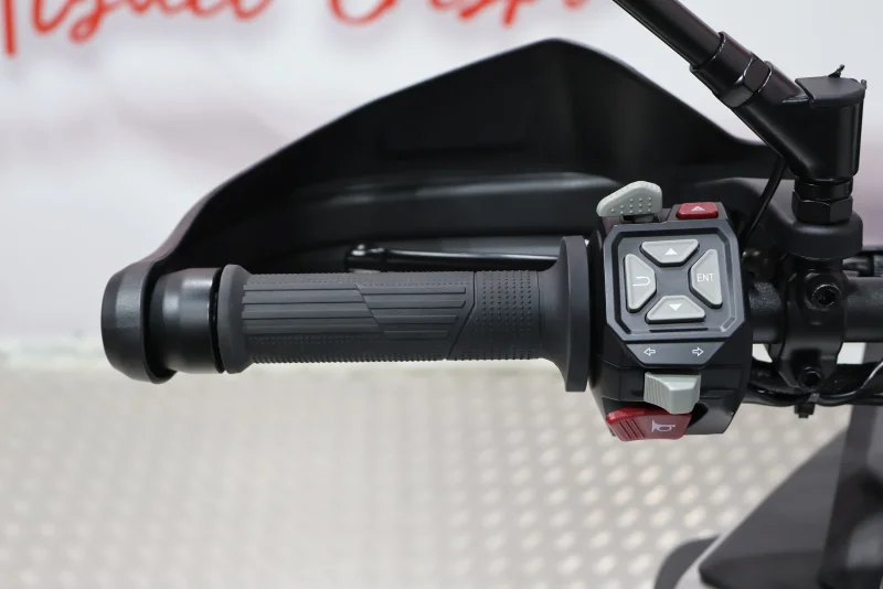 Imagen de VOGE 900 DSX A2