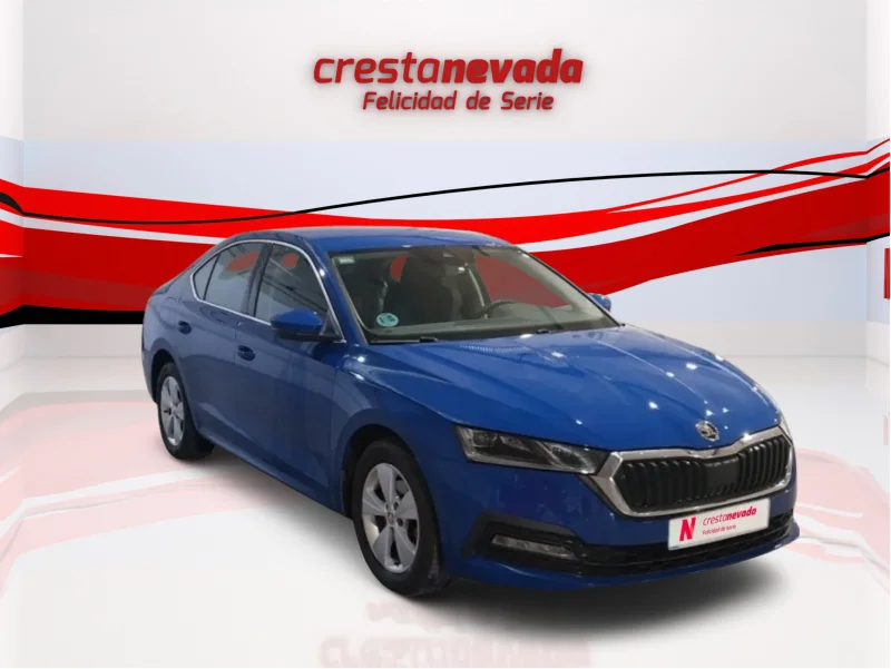 Imagen de Skoda Octavia