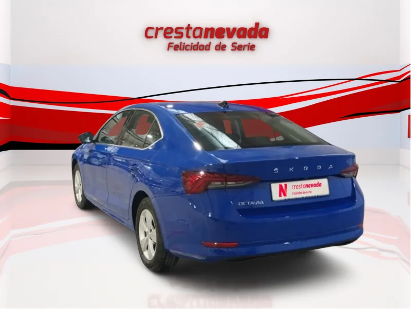 Imagen de Skoda Octavia