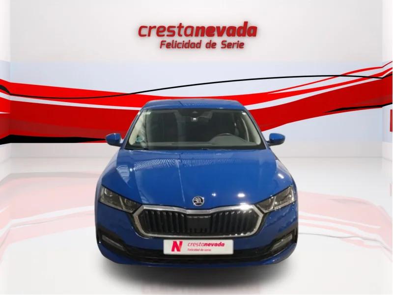 Imagen de Skoda Octavia