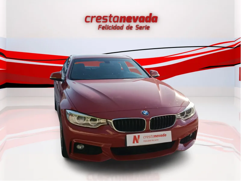 Imagen de BMW Serie 4