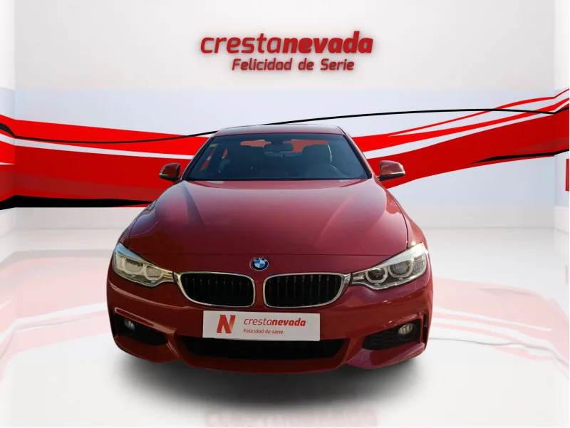 Imagen de BMW Serie 4