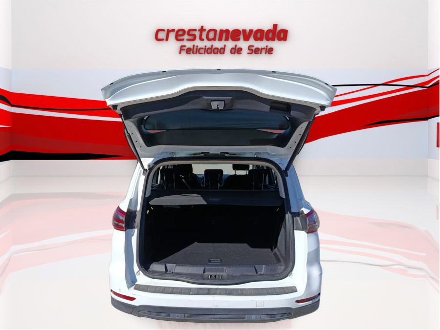 Imagen de Ford S-MAX