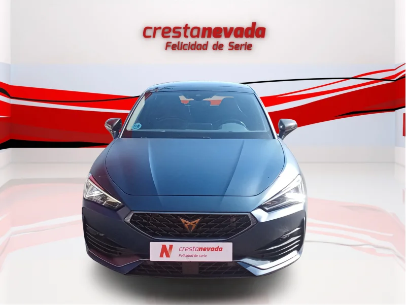 Imagen de cupra León