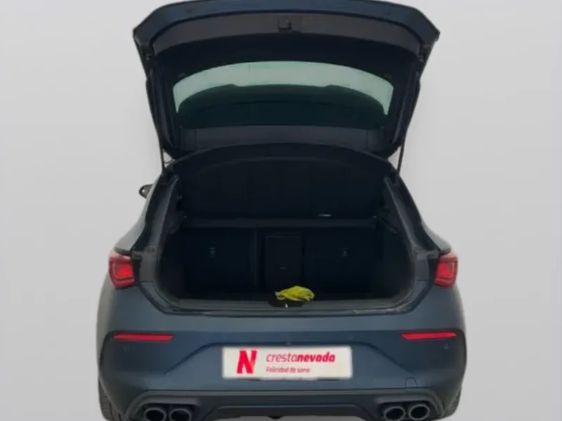 Imagen de cupra León