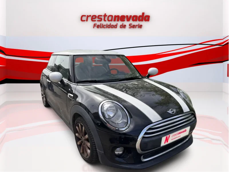 Imagen de Mini MINI