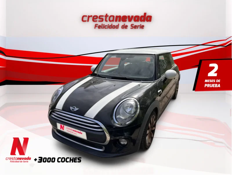 Imagen de Mini MINI