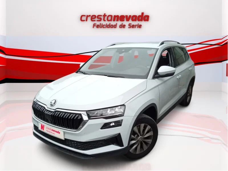 Imagen de Skoda Karoq
