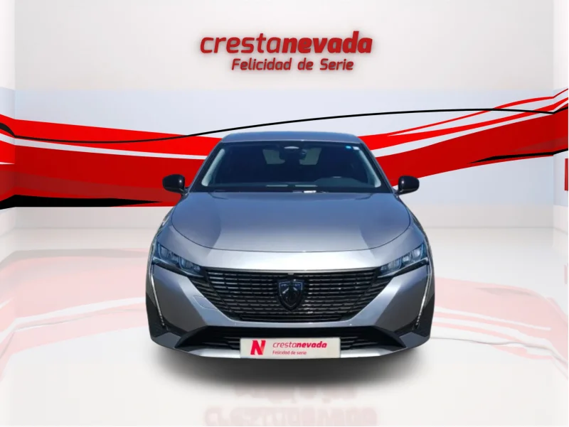 Imagen de Peugeot 308
