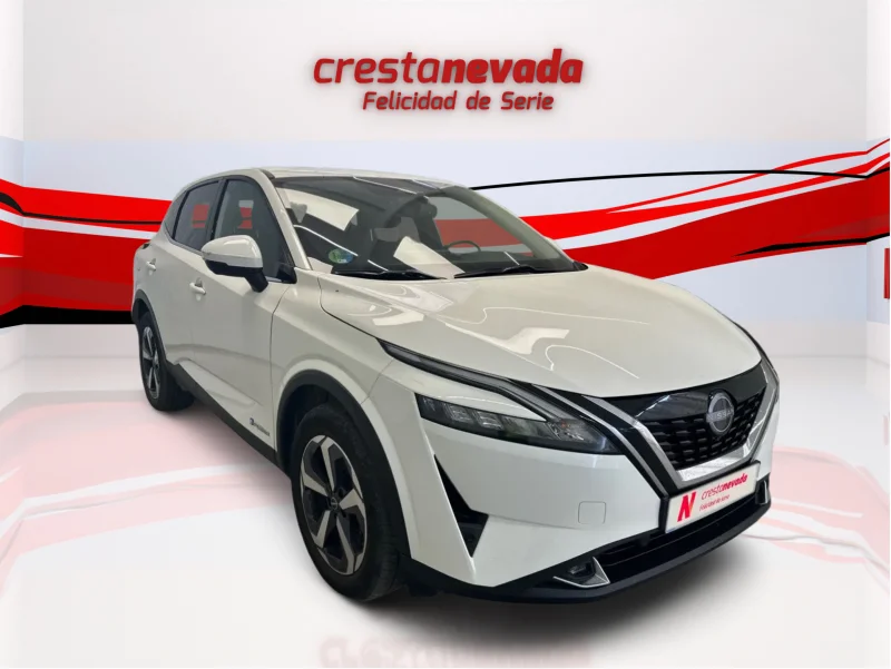 Imagen de NISSAN QASHQAI