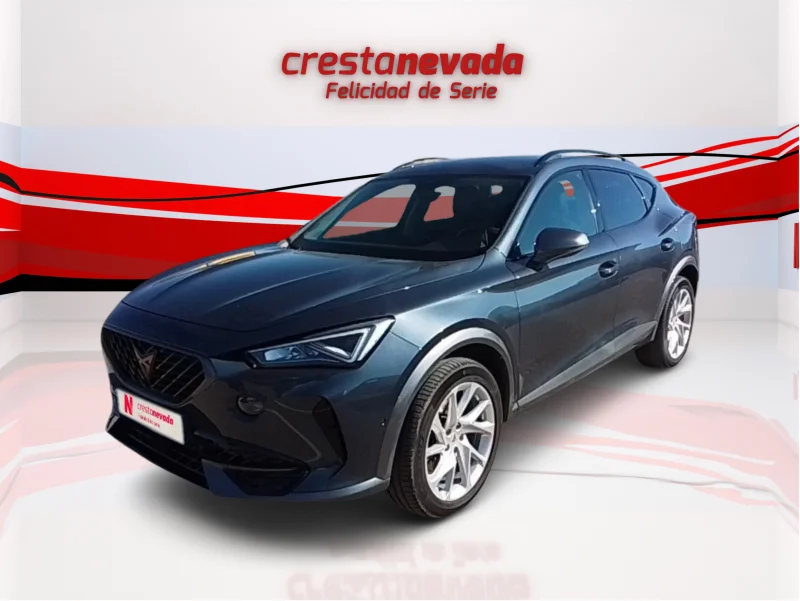 Imagen de cupra Formentor