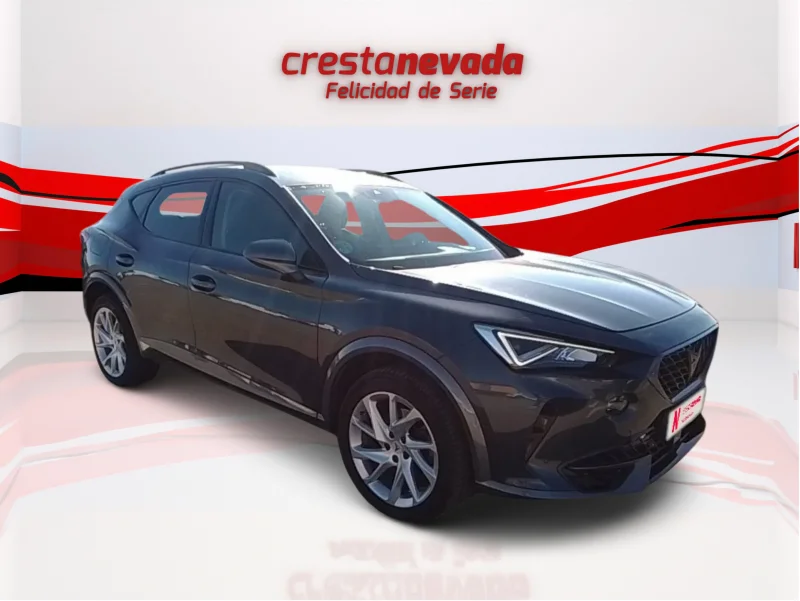 Imagen de cupra Formentor