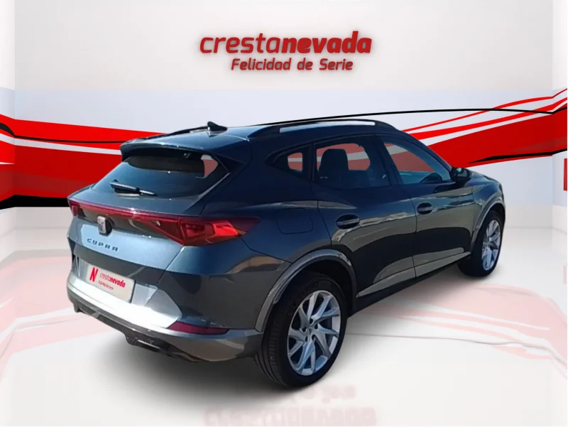 Imagen de cupra Formentor