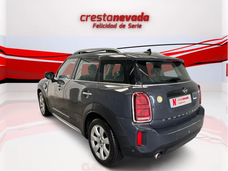 Imagen de Mini Countryman