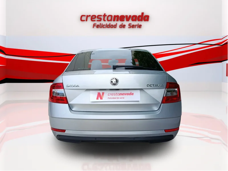 Imagen de Skoda Octavia