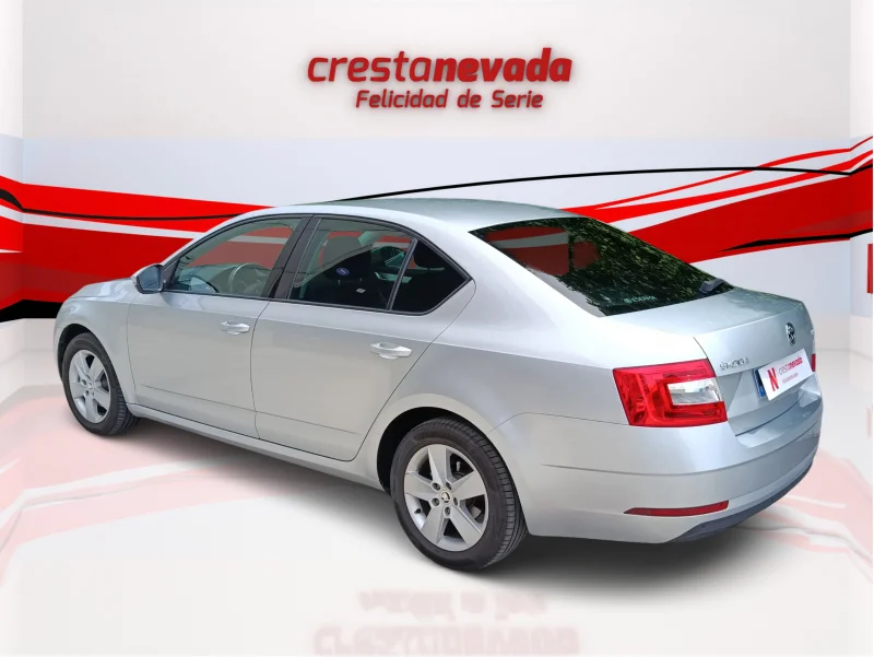 Imagen de Skoda Octavia