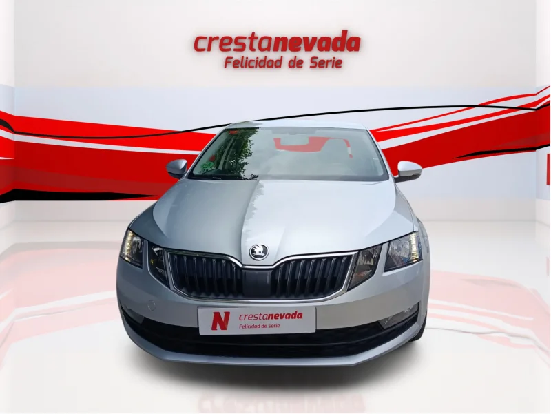 Imagen de Skoda Octavia
