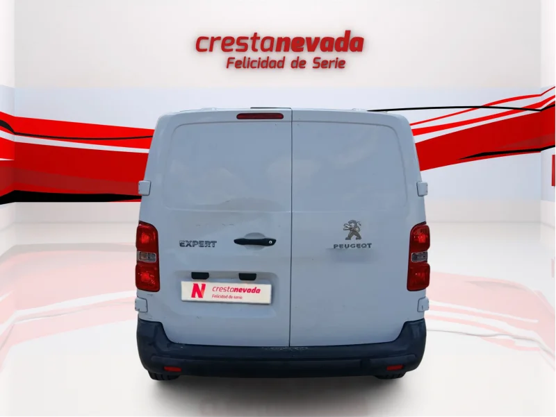 Imagen de Peugeot Expert