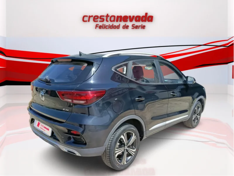 Imagen de Mg ZS