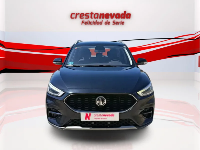 Imagen de Mg ZS