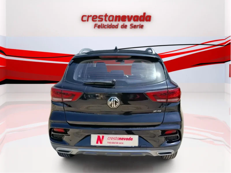 Imagen de Mg ZS