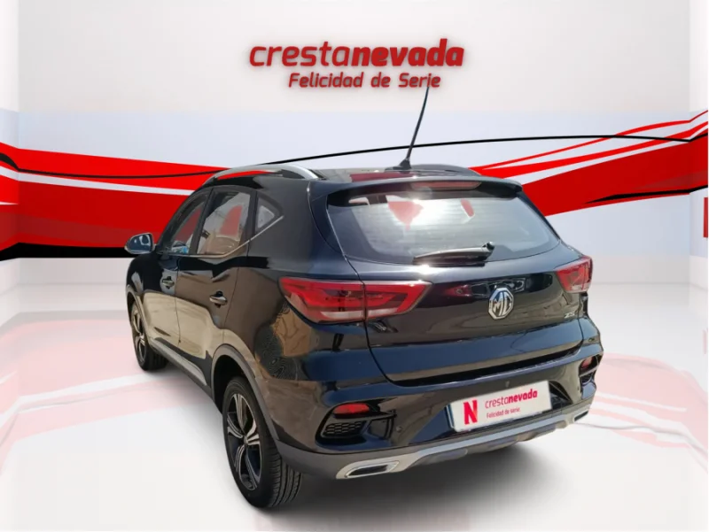 Imagen de Mg ZS
