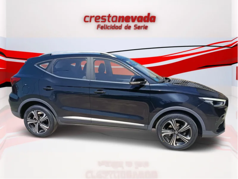 Imagen de Mg ZS