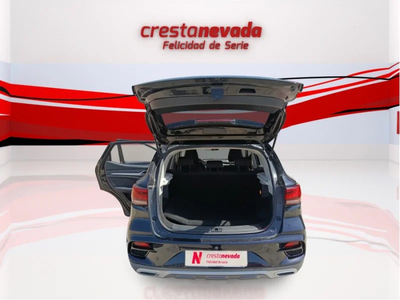 Imagen de Mg ZS